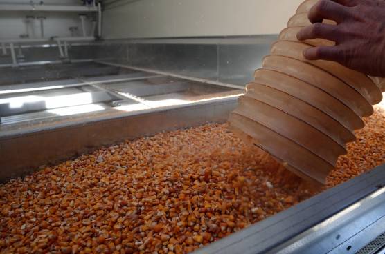 An innovative solution for drying herbs and agricultural crops